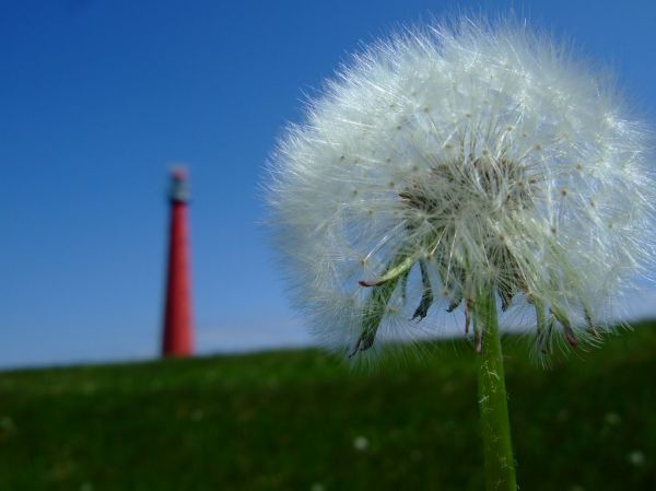 Julianadorp, North Holland