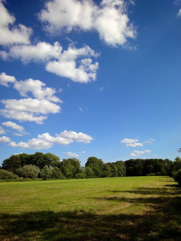 Den Dolder photo 4