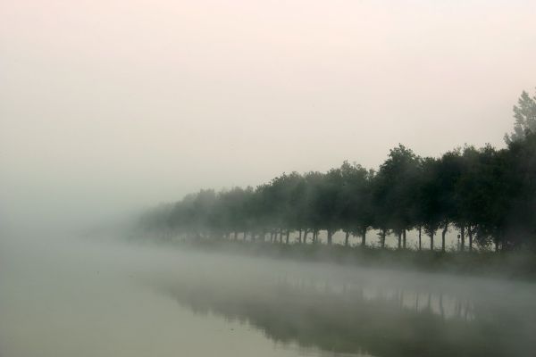 Delden photo 4