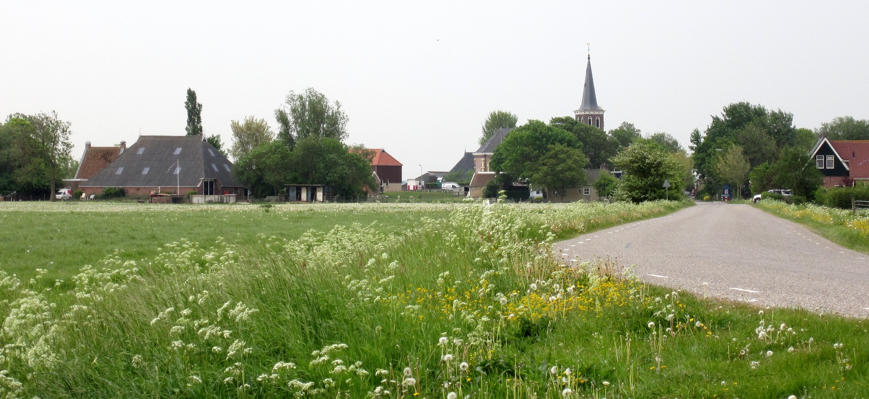 Dronryp photo 4