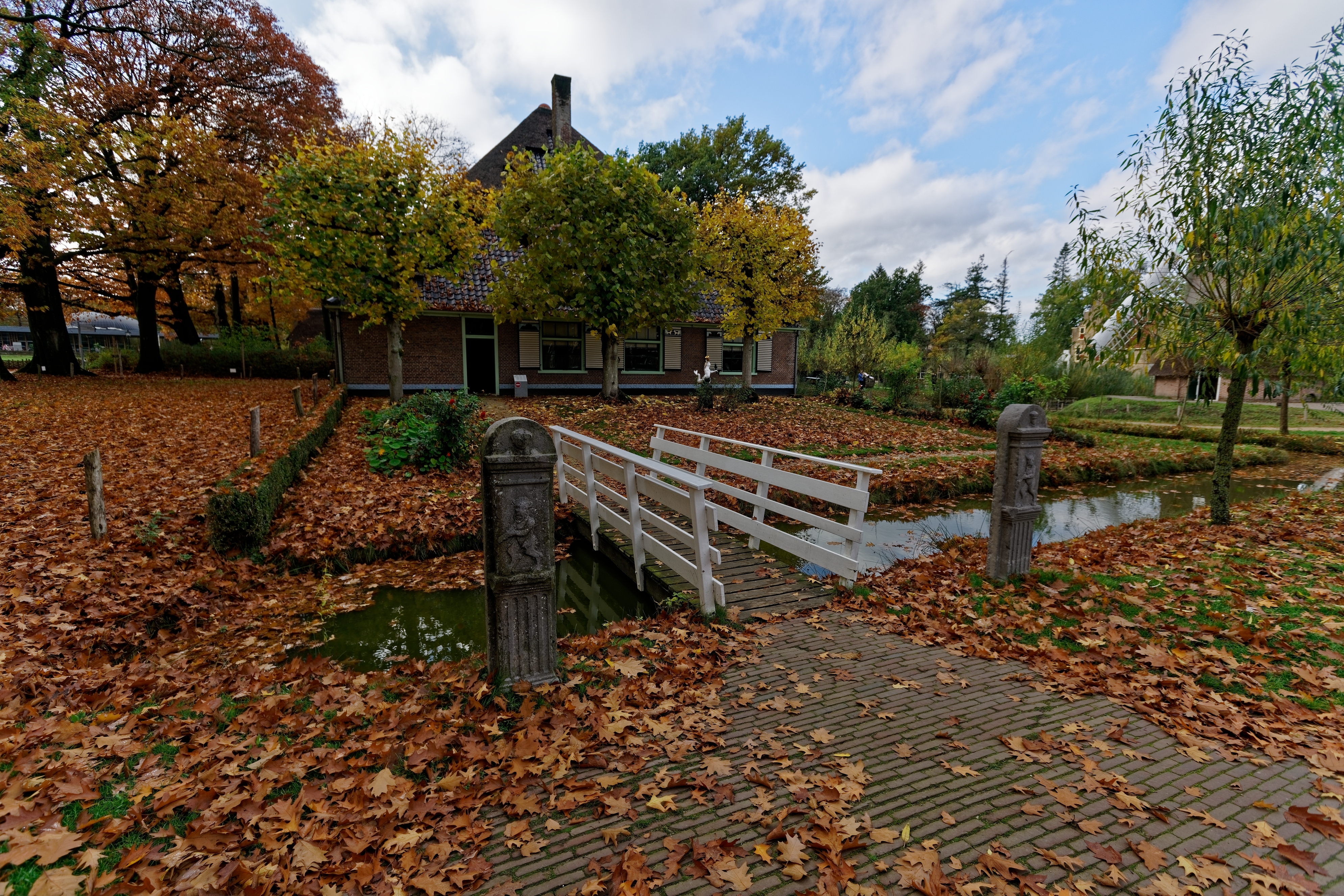 Zuid-Scharwoude photo 3