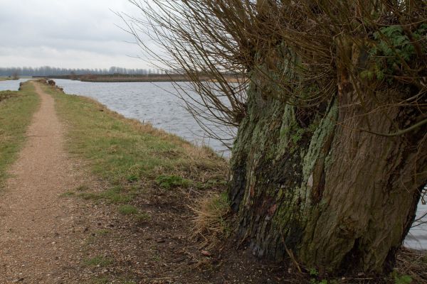 Waddinxveen photo 4