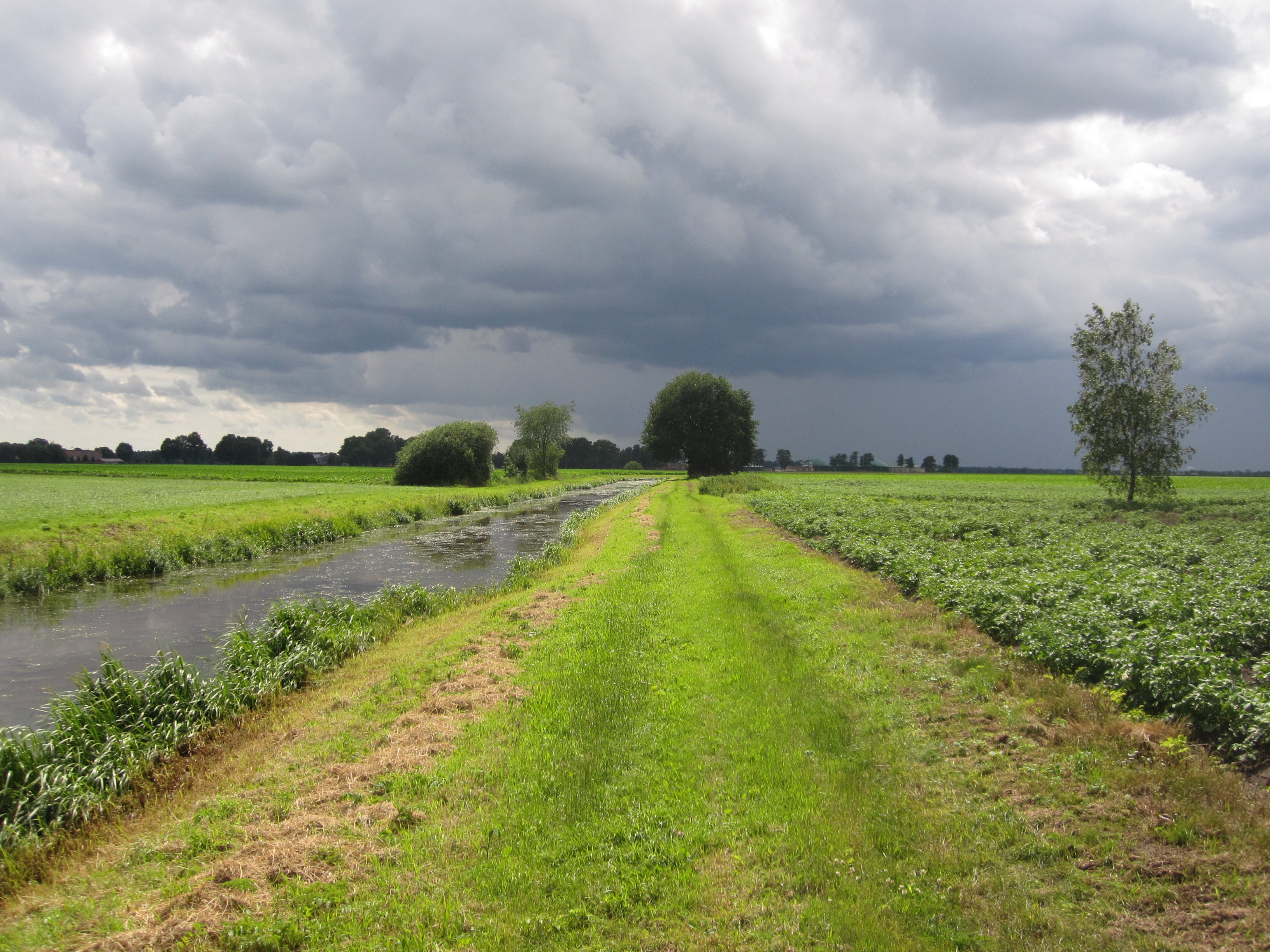 Schoonebeek photo 2