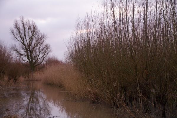 Rhoon, South Holland