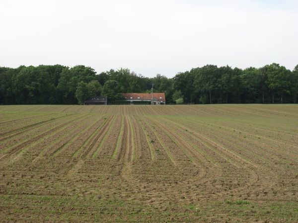 Sint Odiliënberg photo 3