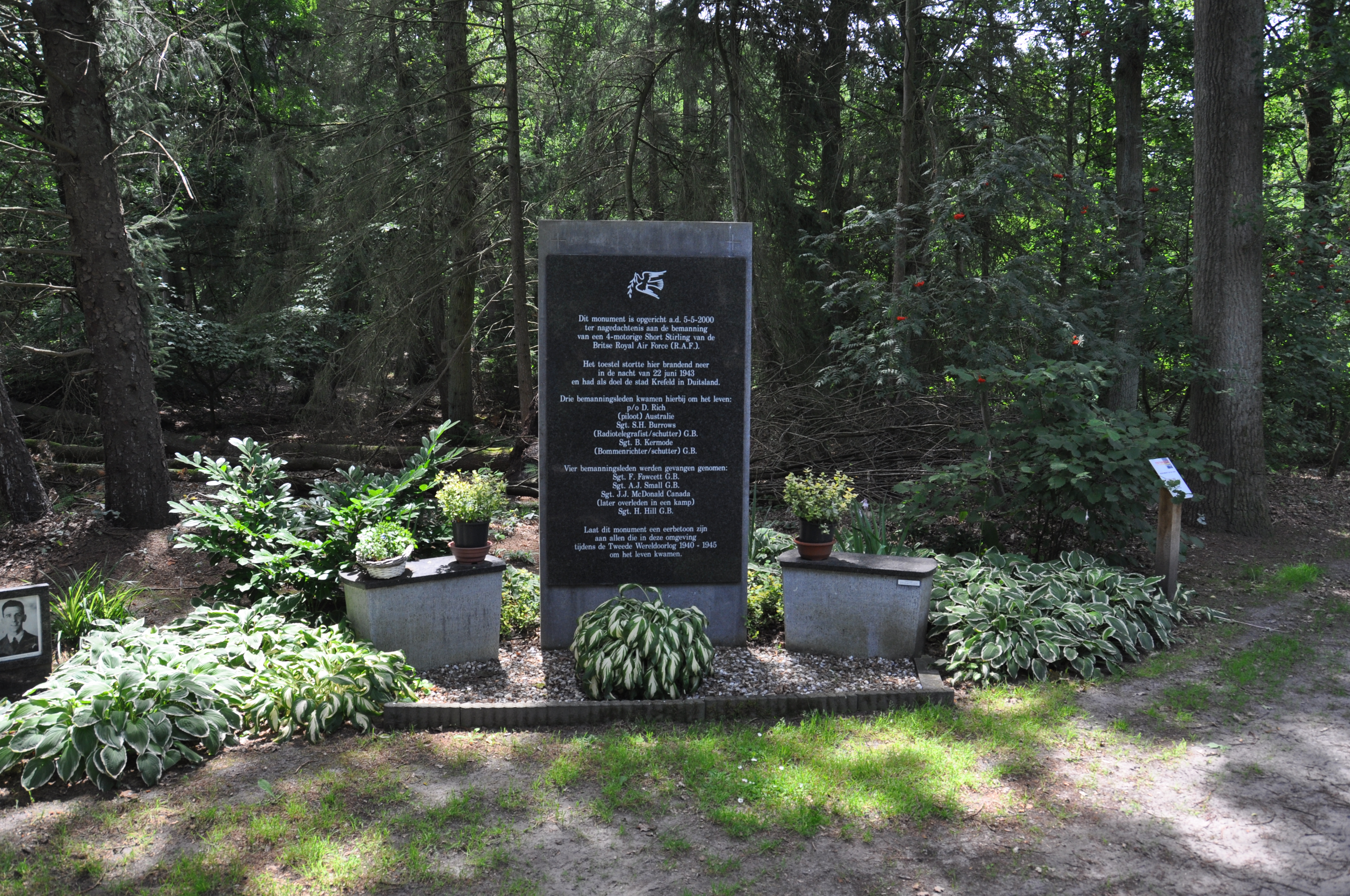 Maarheeze photo 2