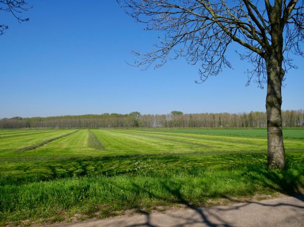 Hoeven photo 2