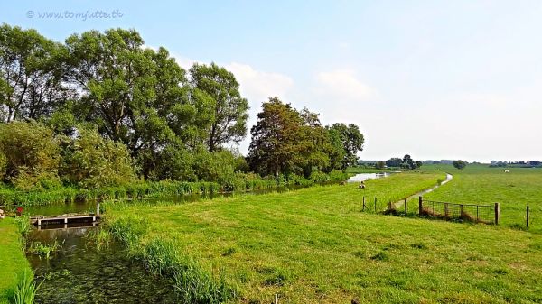 IJsselstein photo 4