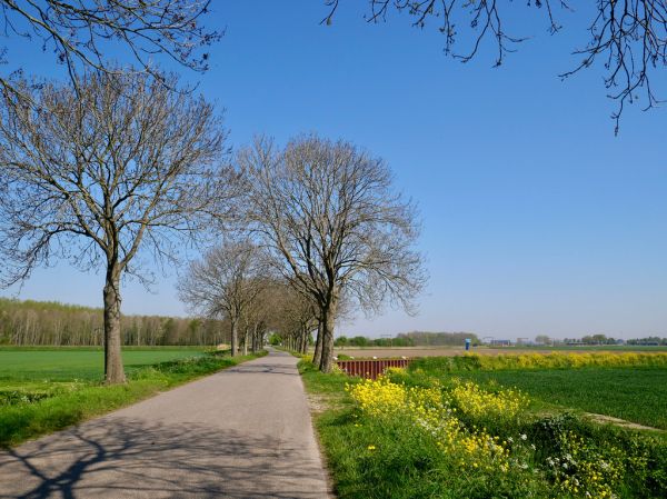 Hoeven photo 3