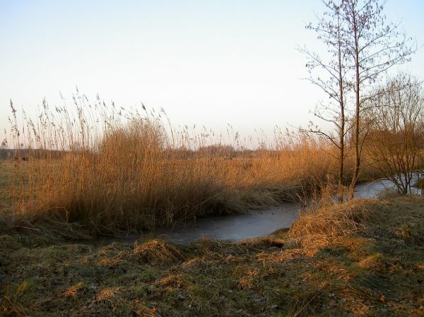 Rucphen, North Brabant