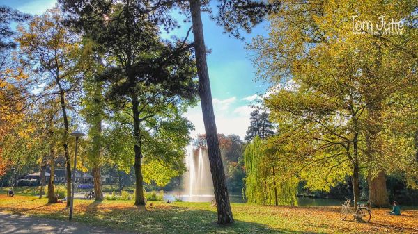 Utrecht photo 4