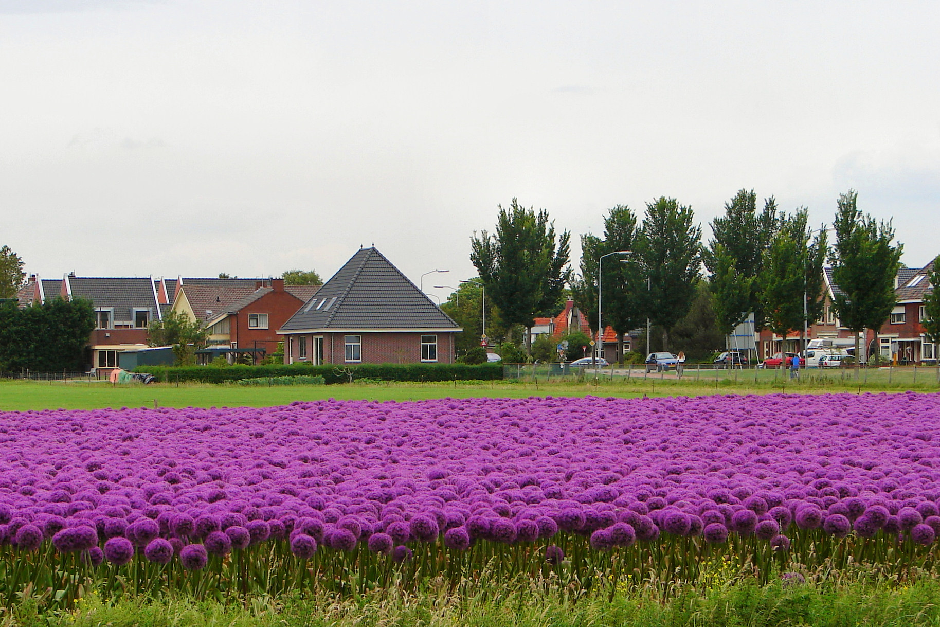 Limmen, North Holland