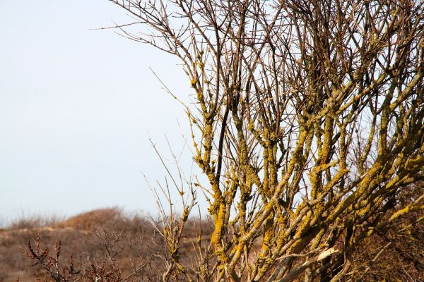 Noordwijk-Binnen photo 3