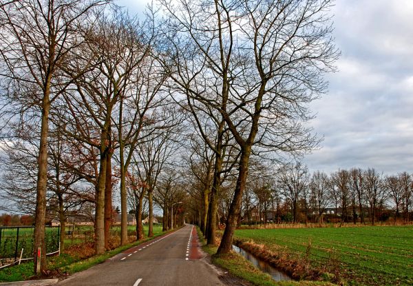 Oirschot, North Brabant