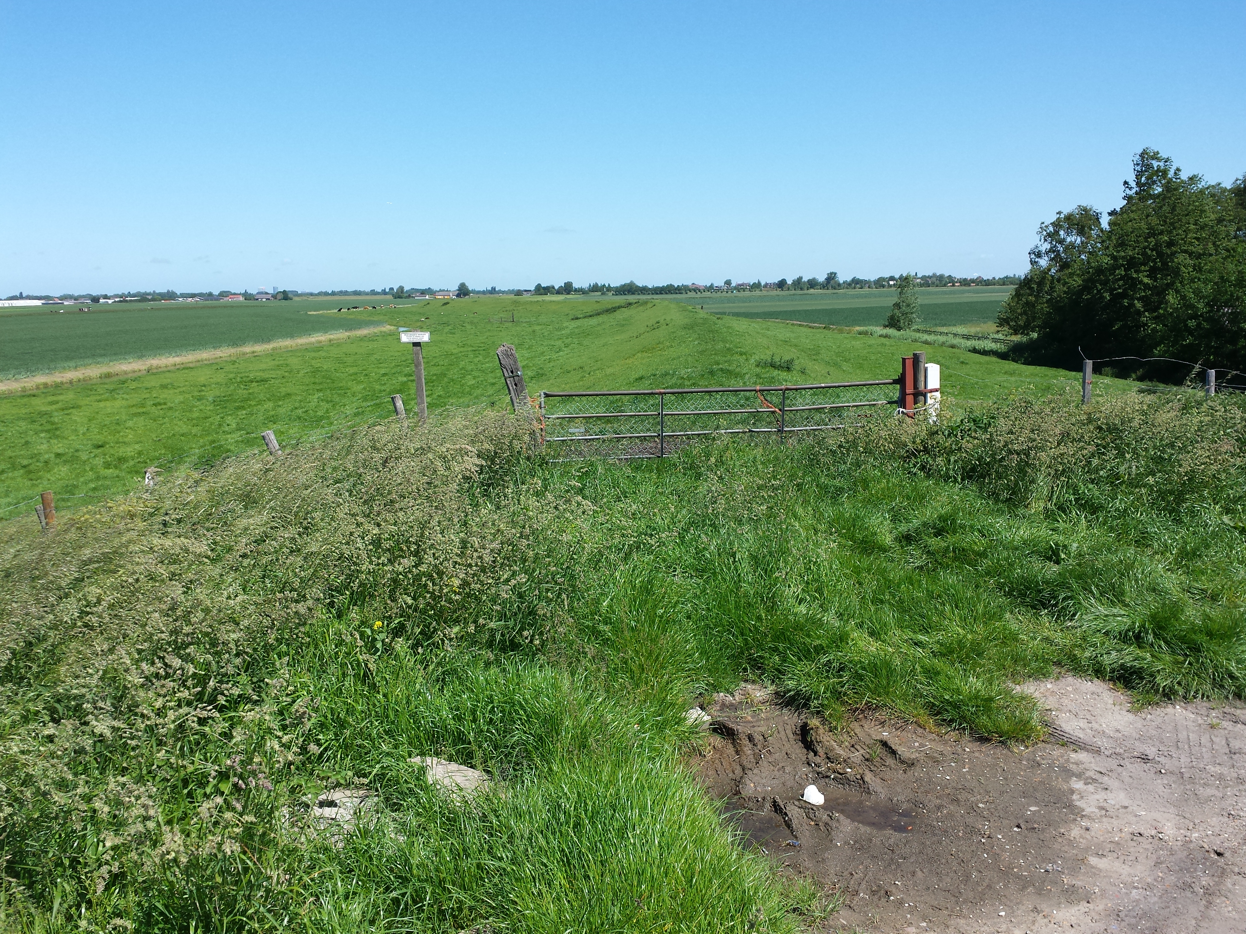 Kudelstaart photo 2