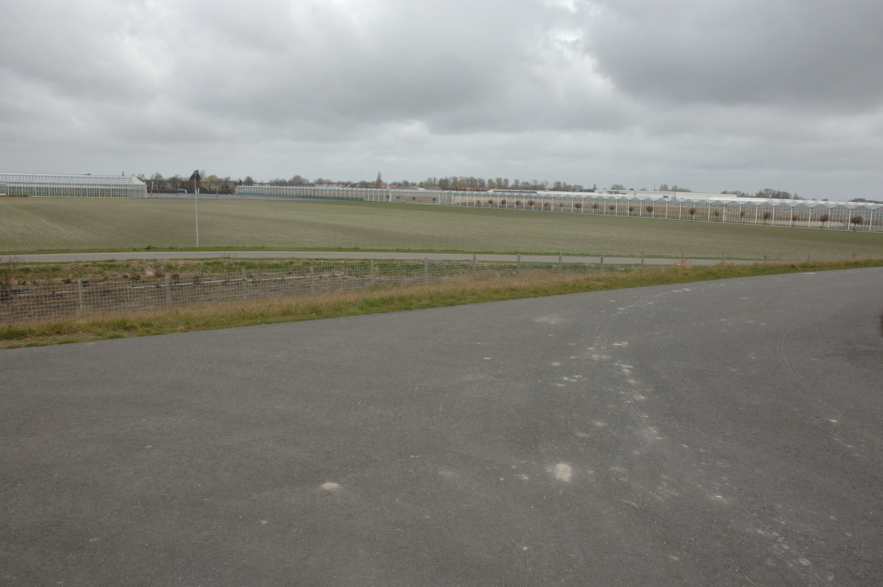 De Kwakel photo 3
