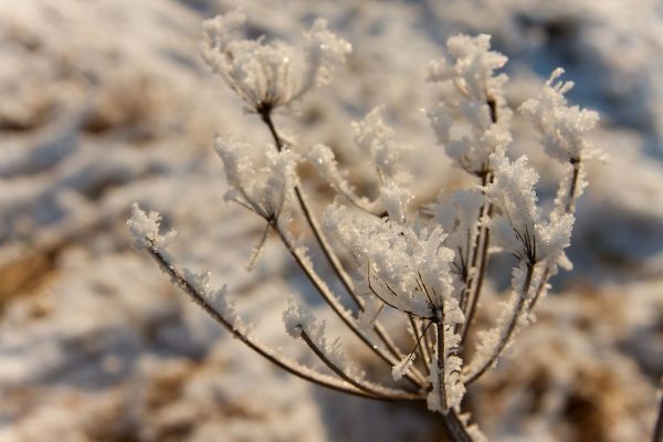 Giesbeek photo 2