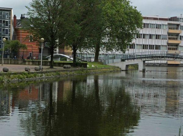 Nieuw-Amsterdam photo 3