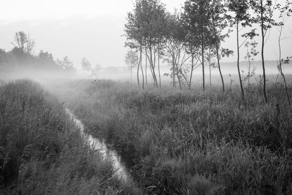 Schinveld photo 3