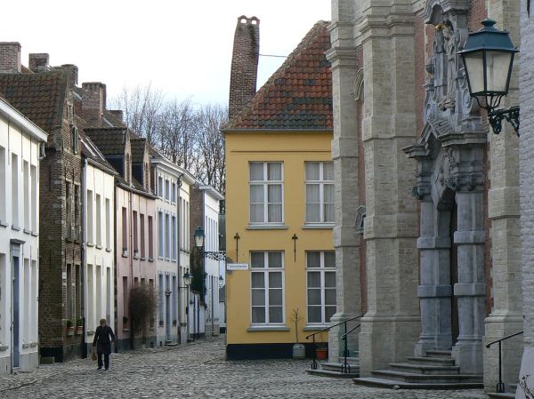 De Lier photo 3