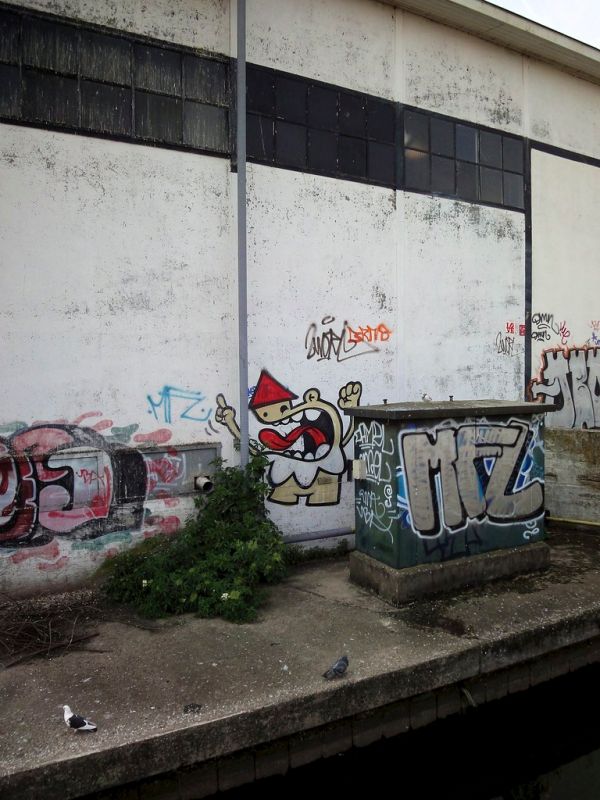 Duiven photo 4