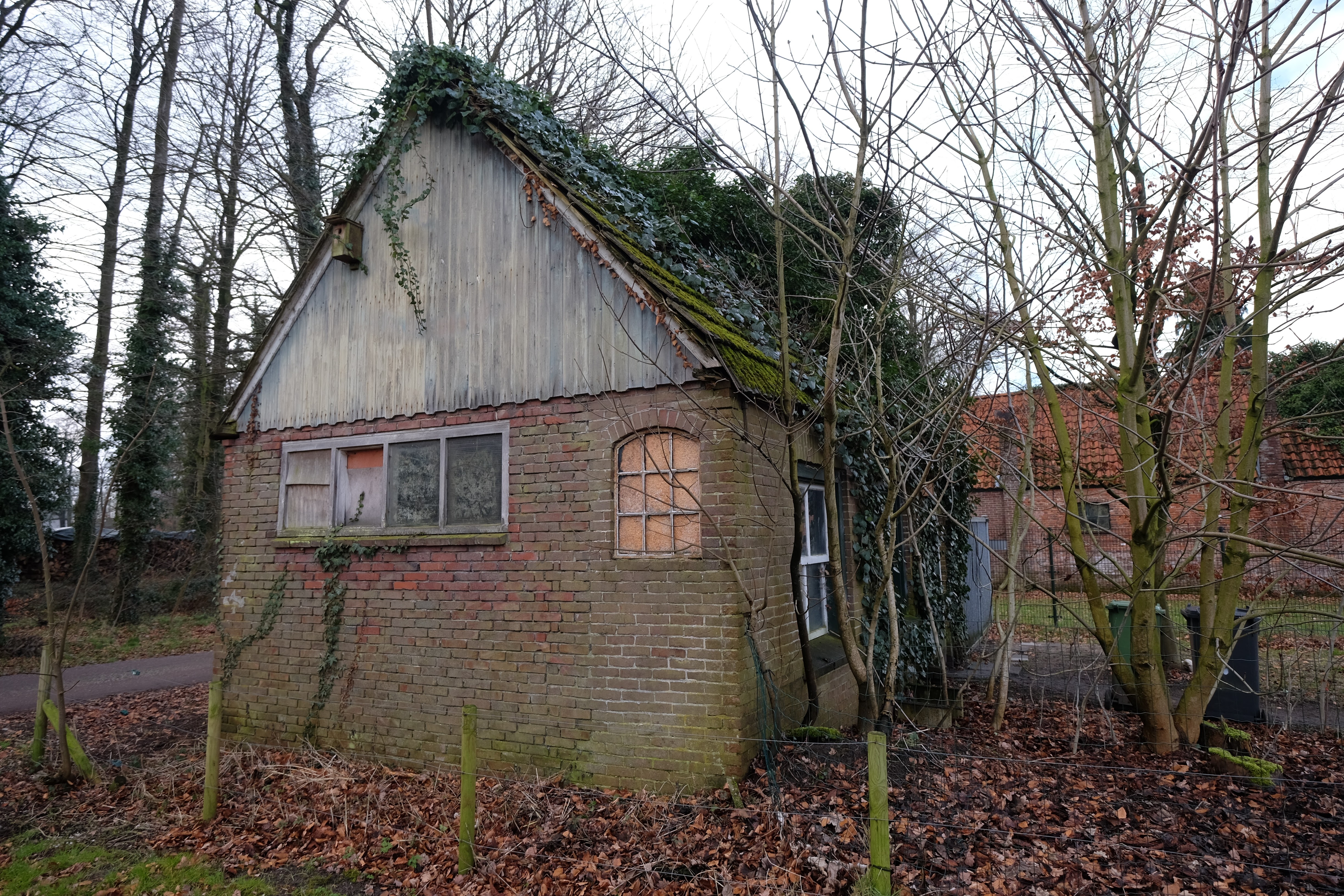 Terborg photo 2