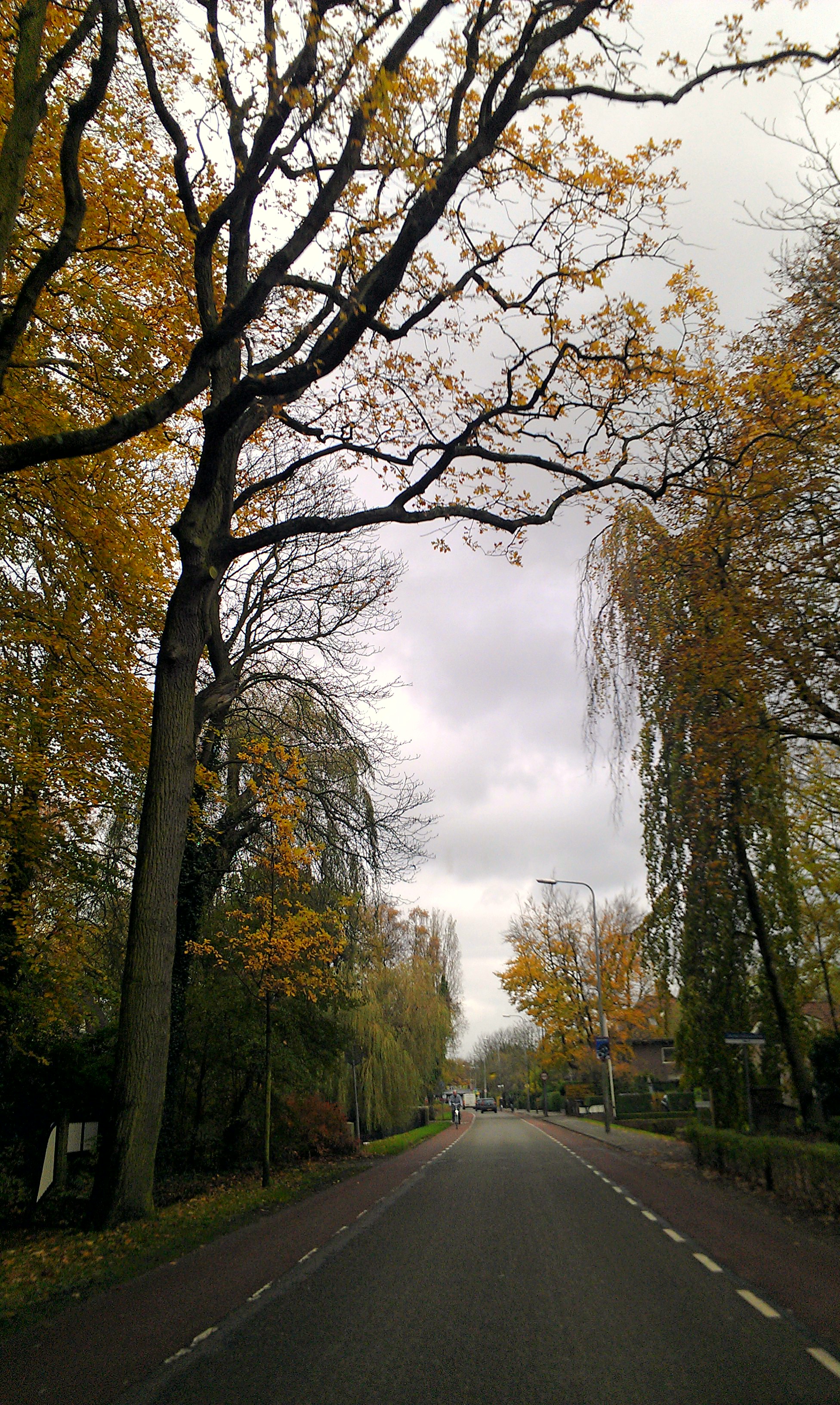 Sassenheim, South Holland