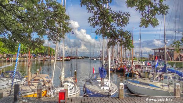 Enkhuizen photo 3