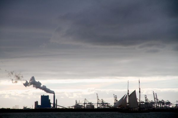 Naaldwijk photo 2