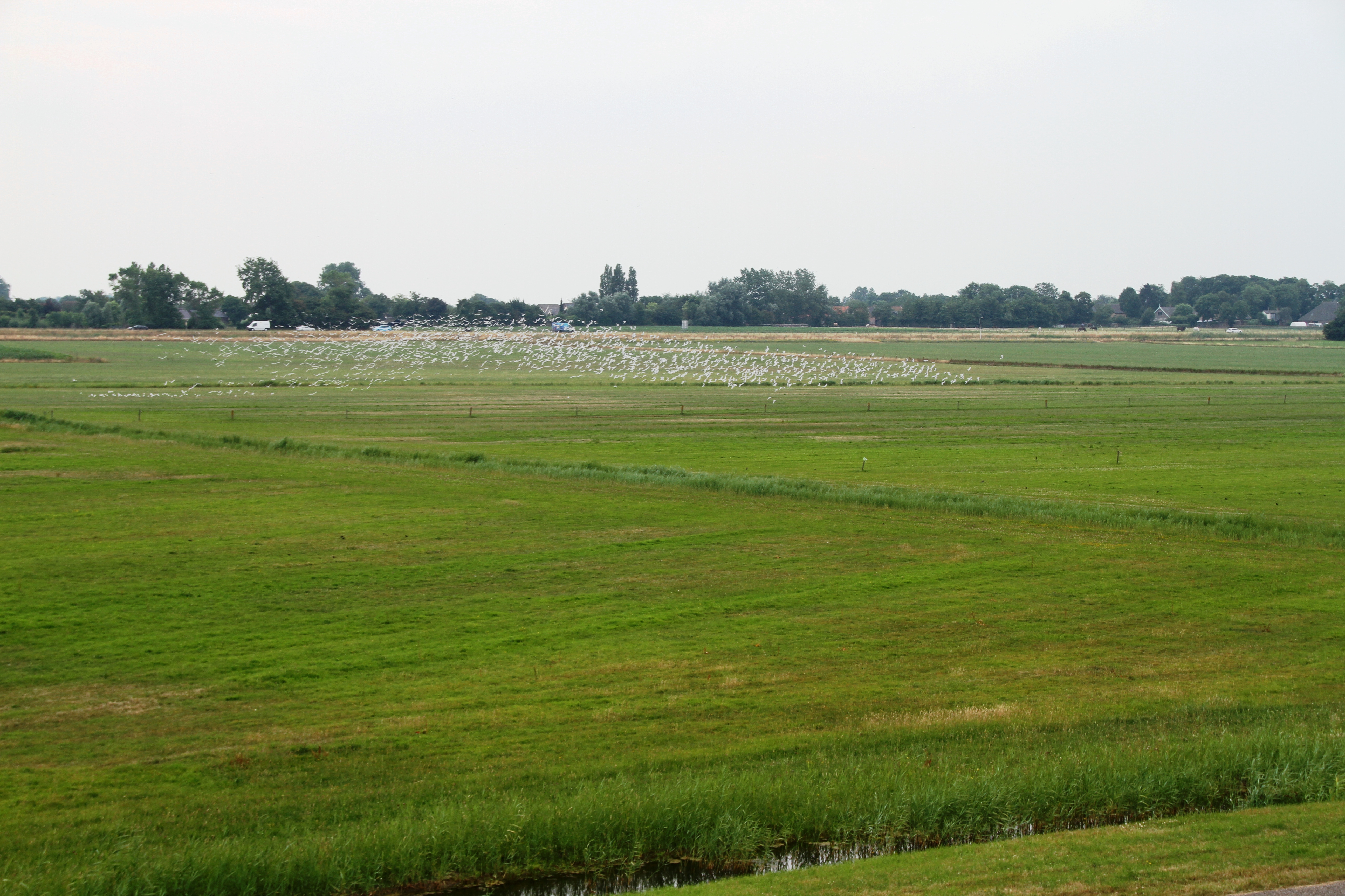 Hippolytushoef photo 4