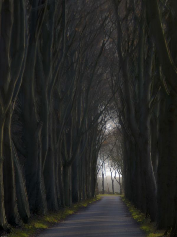 Vries, Drenthe