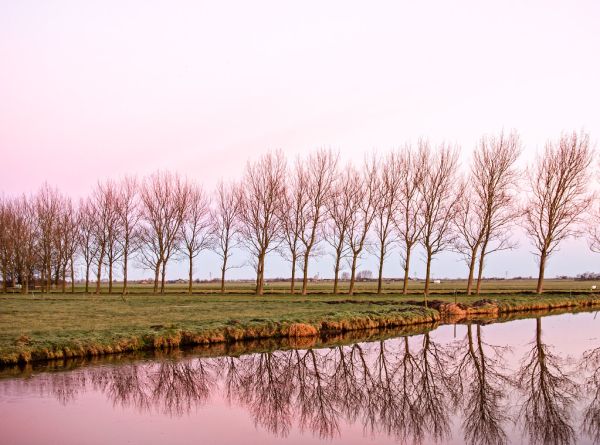 Heemskerk photo 2