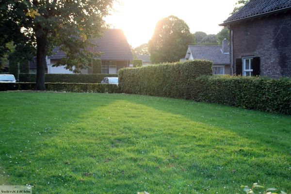 Helvoirt photo 3