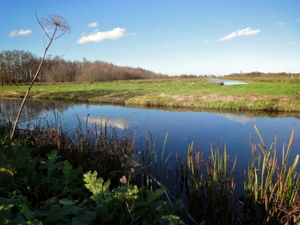 Nieuw-Loosdrecht photo 4