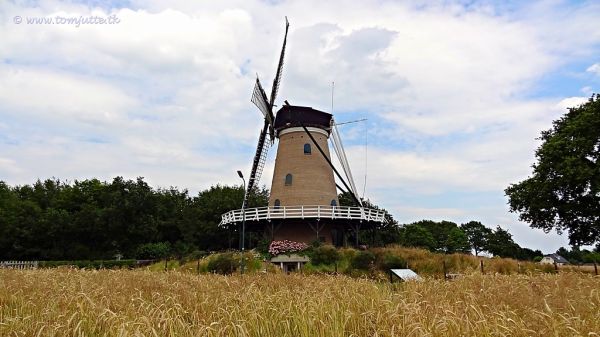 Soest photo 4