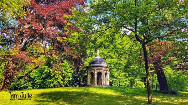 Driebergen-Rijsenburg photo 3