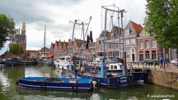 Hoorn photo 2