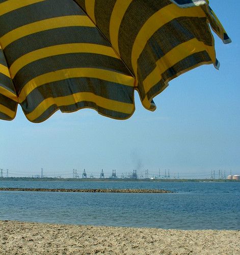 Oostvoornse Meer, South Holland