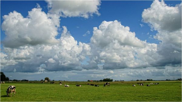 Dronryp, Friesland