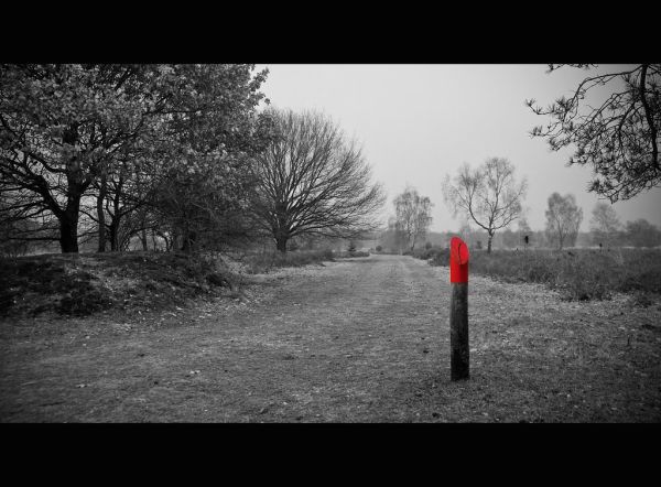 Venlo photo 4