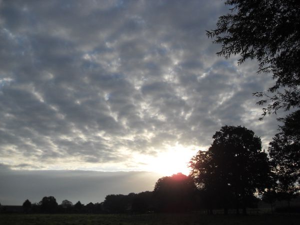 Lichtenvoorde photo 2