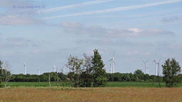 Haren, Groningen