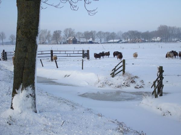 IJsselmuiden, Overijssel