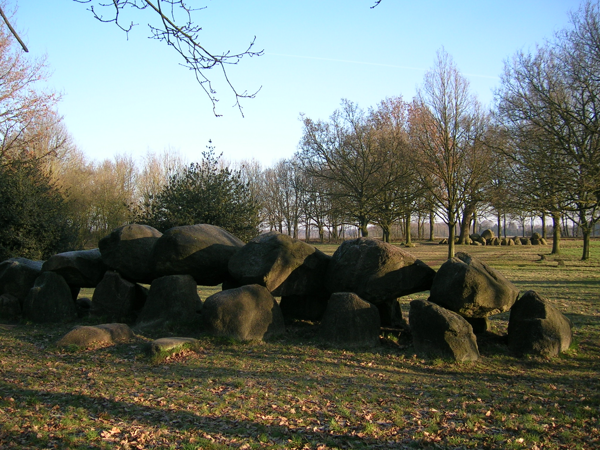 Rolde photo 4