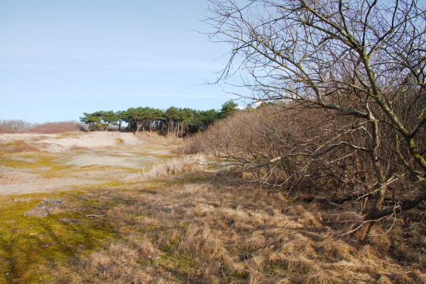 Noordwijk-Binnen photo 2