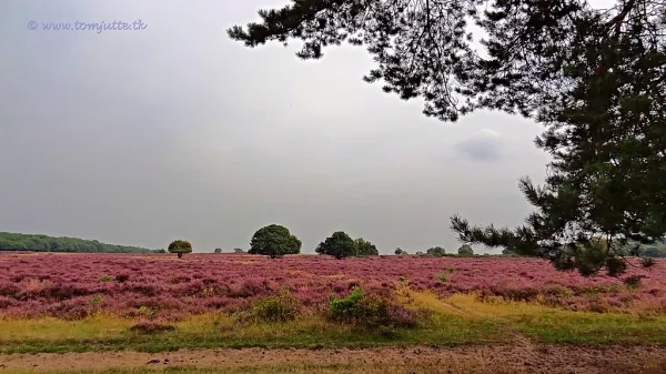 Hilversum, North Holland