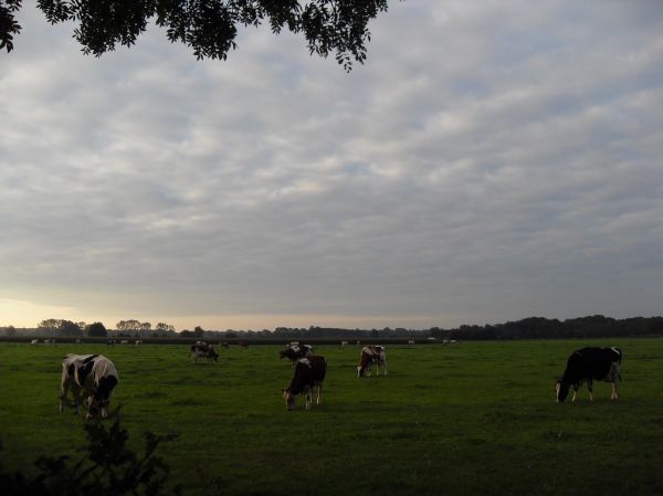 Lichtenvoorde photo 4