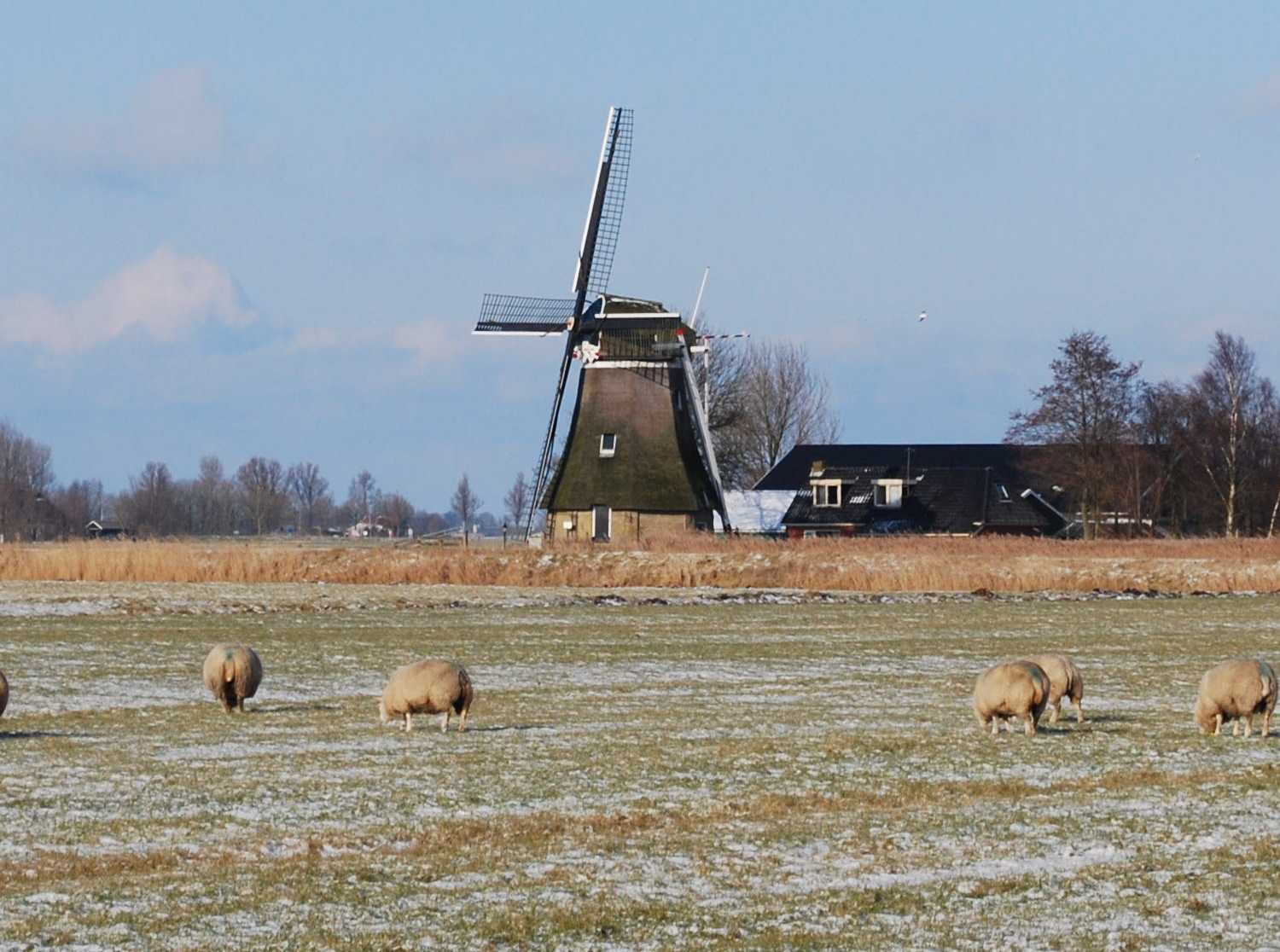 Kollum, Friesland