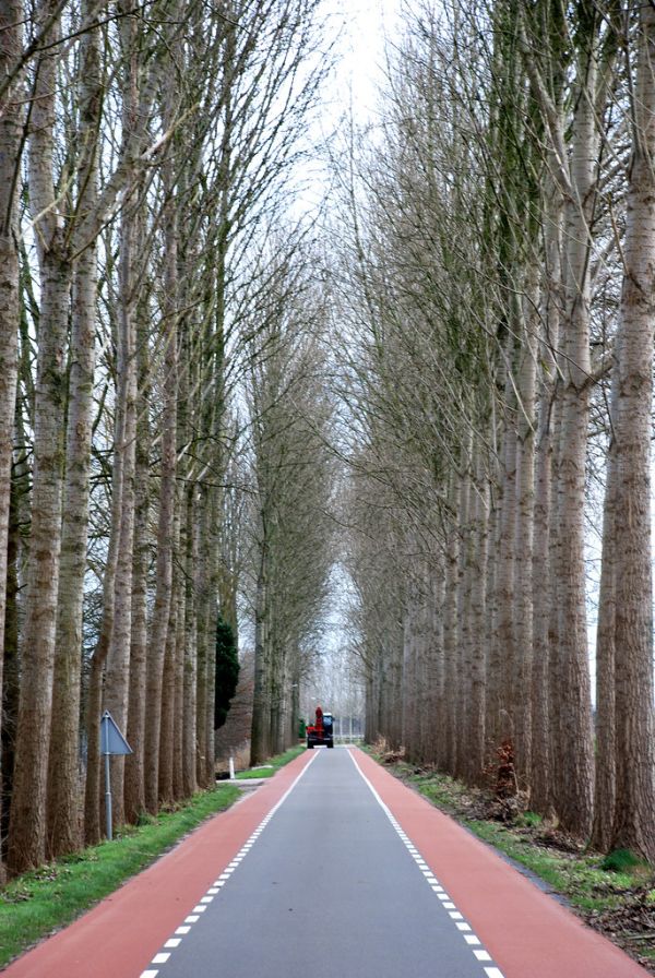 Sint-Oedenrode, North Brabant