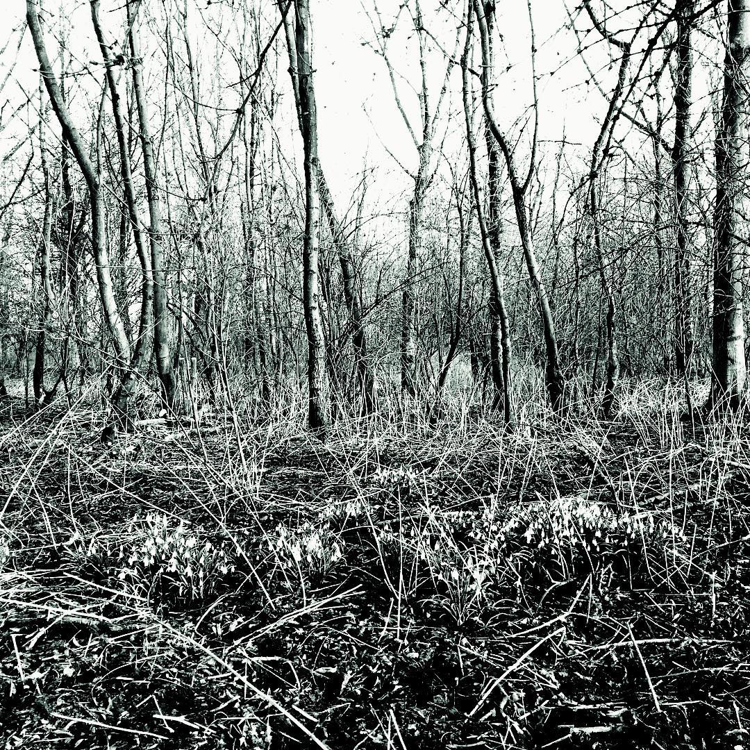 Druten photo 3
